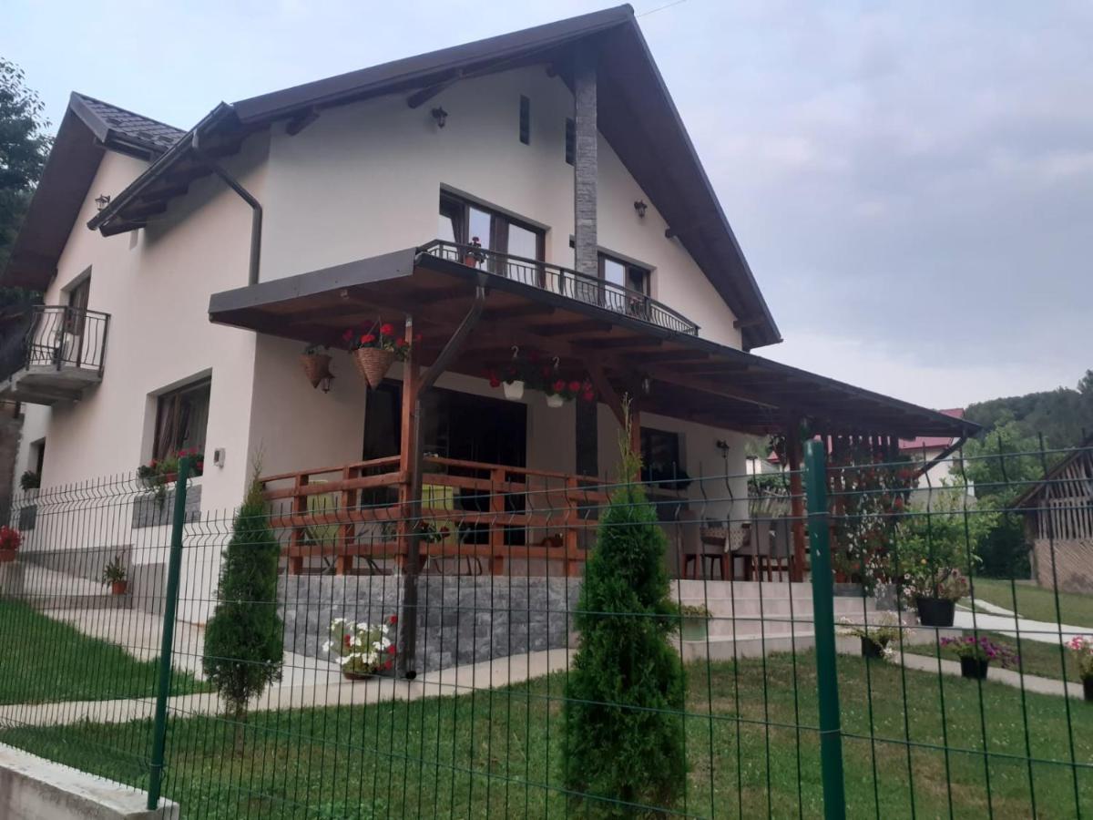 Casa Alex Hotel Curtea De Arges Exterior photo