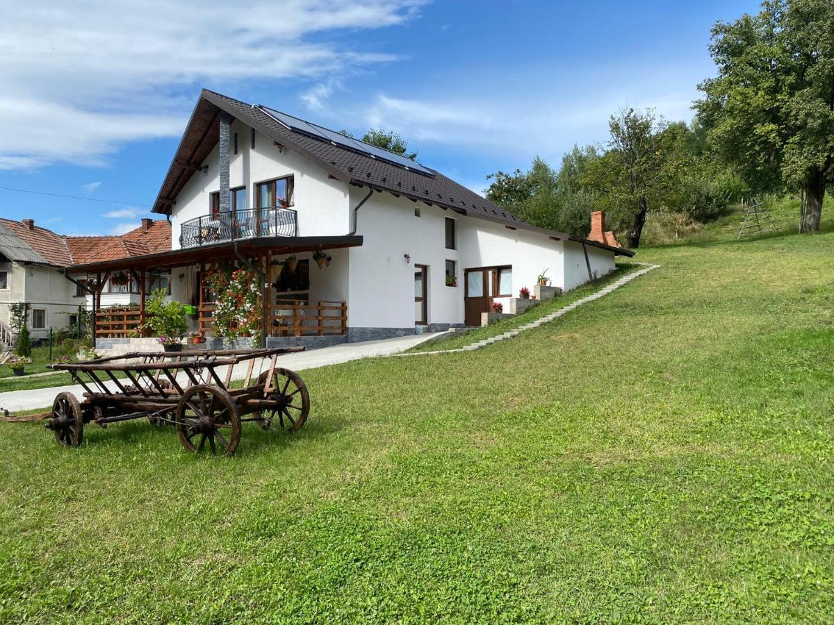 Casa Alex Hotel Curtea De Arges Exterior photo