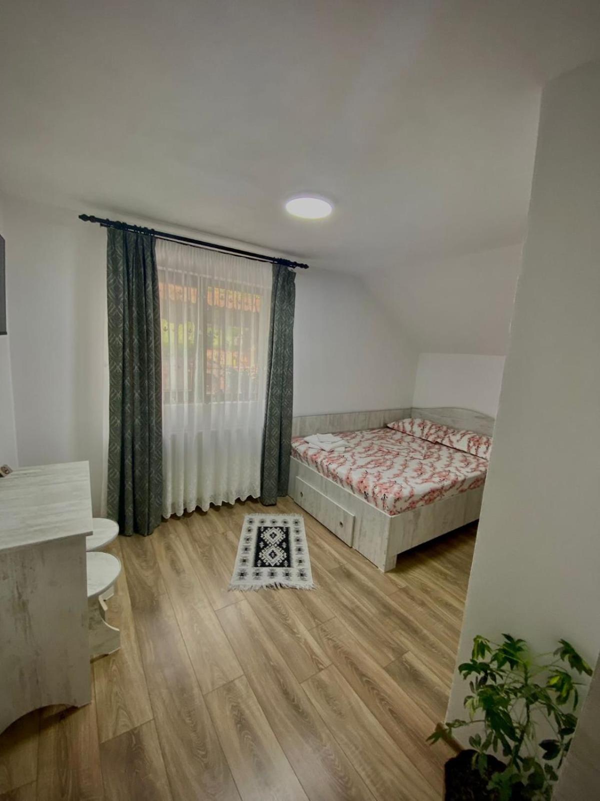 Casa Alex Hotel Curtea De Arges Exterior photo
