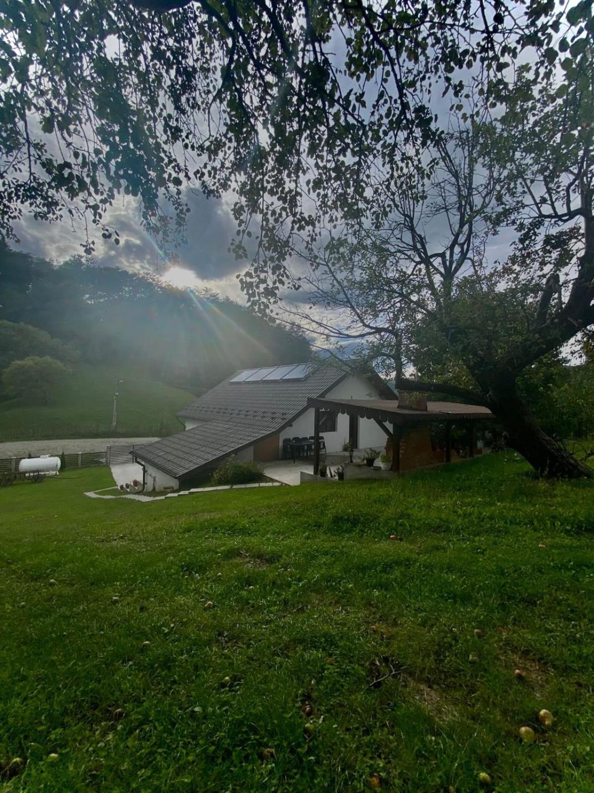 Casa Alex Hotel Curtea De Arges Exterior photo